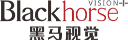 外贸CMS_外贸独立站_跨境电商商城系统_B2B外贸网站建设